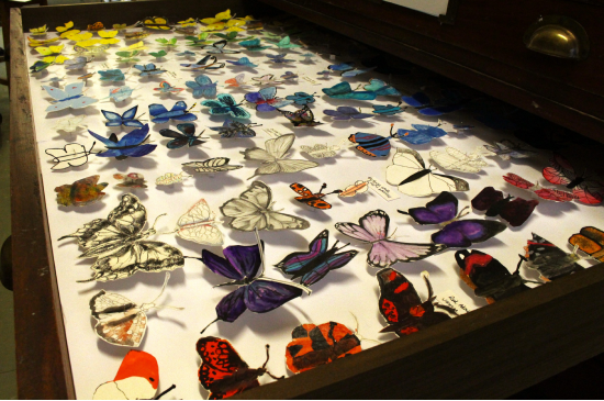 Drawer of different butterflies created from various art materials