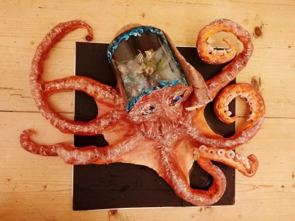 Sanya octopus