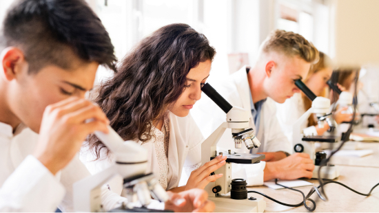Classroom students sitting side by side looking down microscopes
