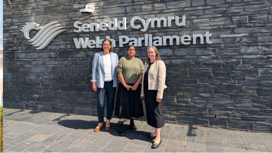 RSB, RSC, and IOP representatives standing outside Senedd Cymru (Welsh Parliament) in the sun