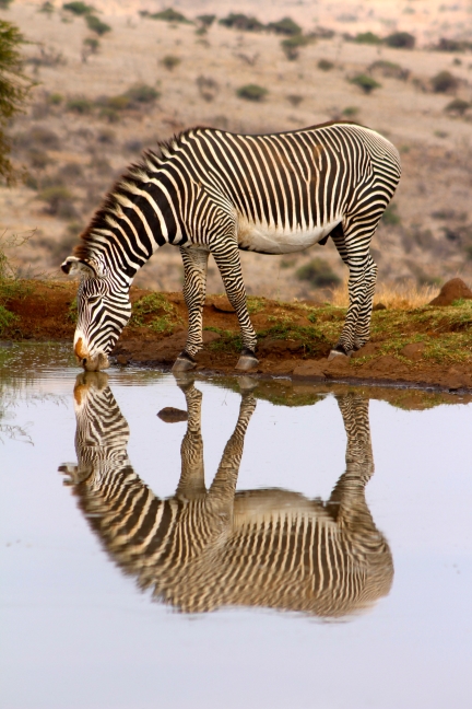 PC08 Stripy reflections FINAL