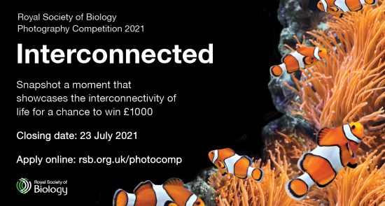 Royal Society of Biology Photography Competition 2021