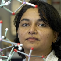 Professor Momna Hejmadi