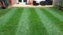 Mown Lawn 90