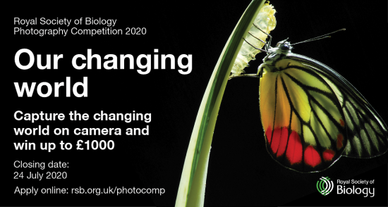 RSB Photography Competition 2020 social media card