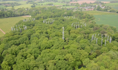 RESIZED Time trees main BIFOR ringsabove Norbury Estate cred