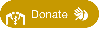Donate button2