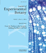 Journal of Experimental Botany