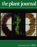 The Plant Journal