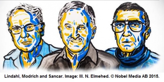 chemistry nobel winners