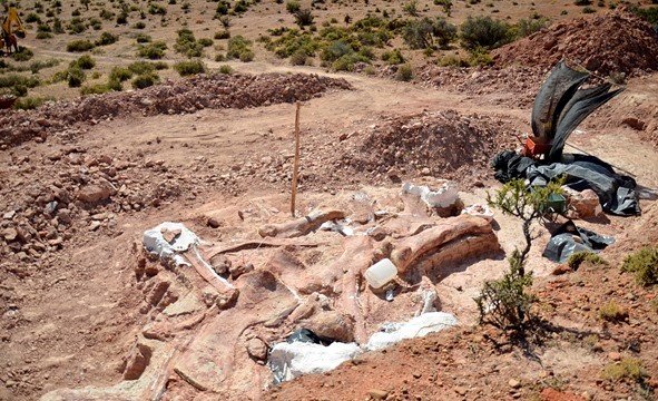 A view of the dig site 