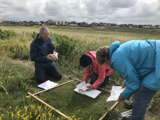 Sand dune vegetation survey min