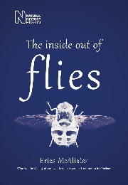 The inside out of flies