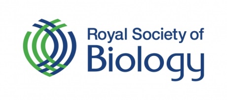 RSB Logo