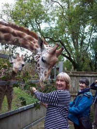DC Zoo 1