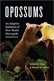 Opposums