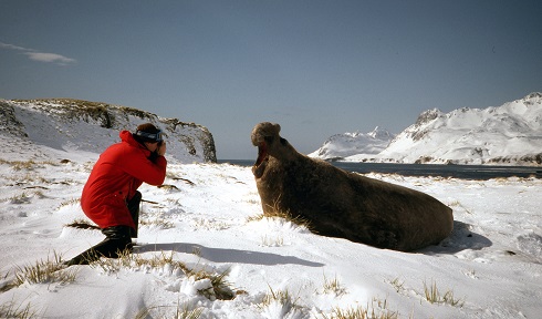 IanSealion