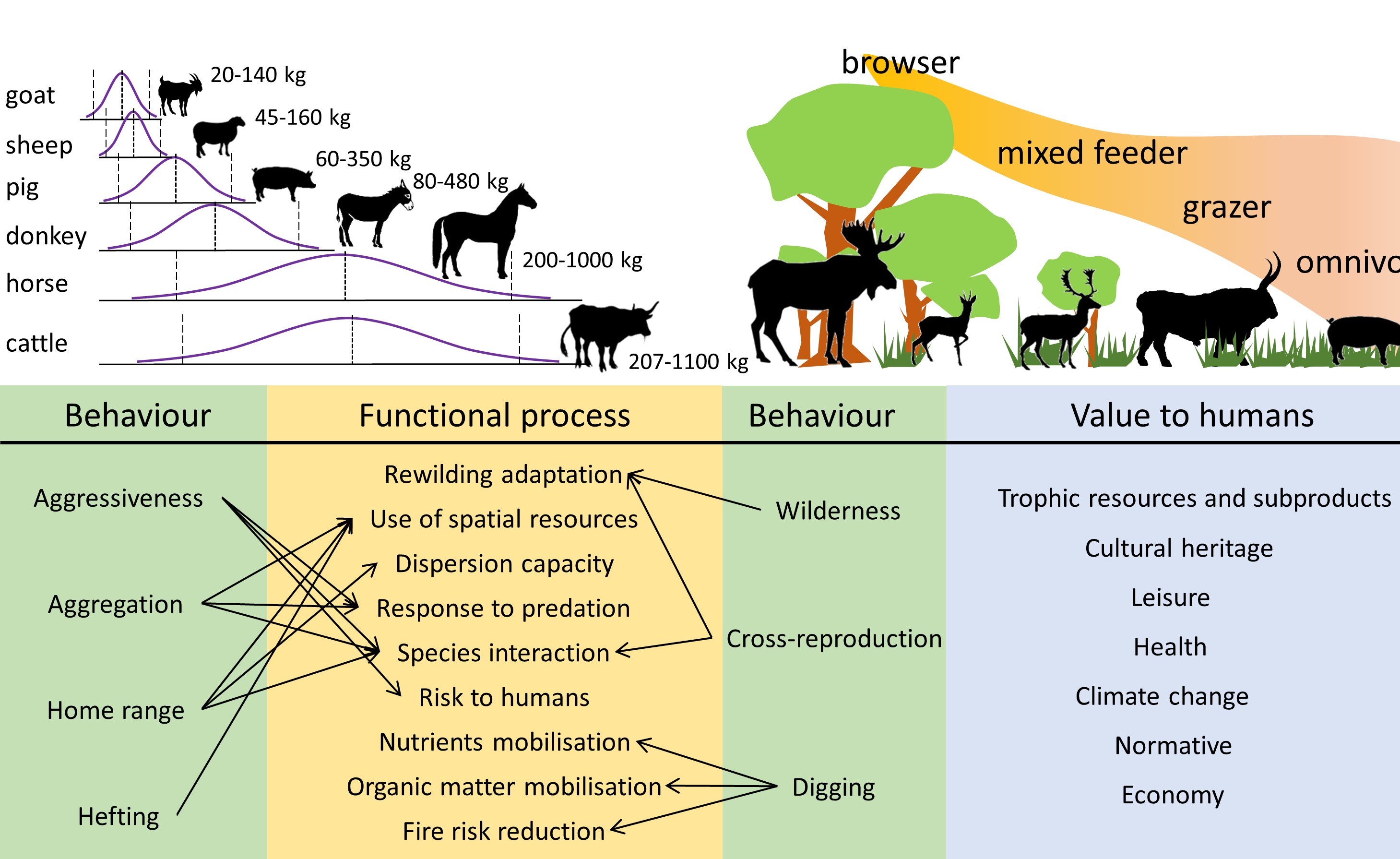 rewilding2a