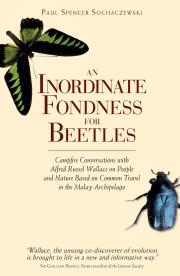 An-inordinate-fondness-for-beetles