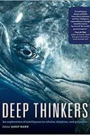 DeepThinkers