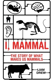 I mammal