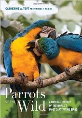 Parrots of the Wild