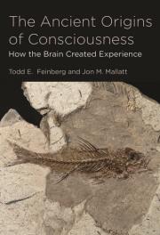 THEANCIENTORIGINSCONSCIOUS