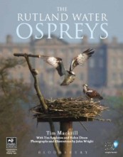 The Rutland Water Ospreys