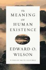 The Meaning of Human Existence