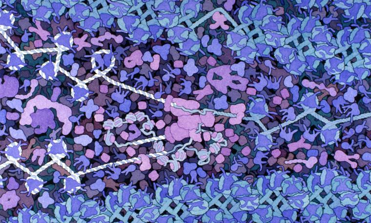 The Twists and Turns of DNA