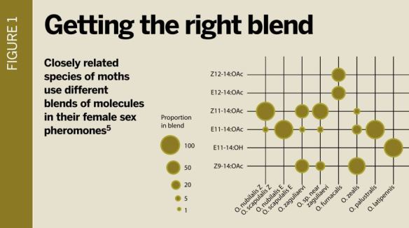 Pheromones fig1