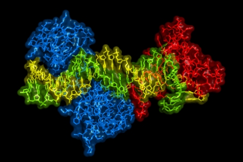 Proteomics