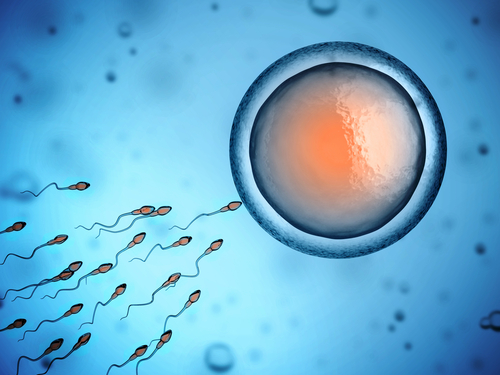 Trials of a sperm