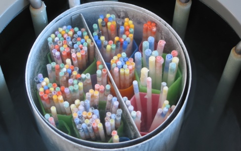 cryobiology-straws