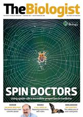 Magazine /images/biologist/archive/2014_10_01_Vol61_No5_Spin_Doctors