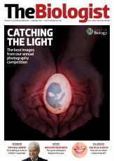 Magazine /images/biologist/archive/2014_12_01_Vol61_No6_Catching_the_Light