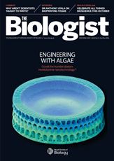 Magazine /images/biologist/archive/2016_10_01_Vol63_No5_Engineering_with_Algae