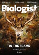 Magazine /images/biologist/archive/2020_10_10_Vol67_No5_InTheFrame