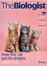 Magazine /images/biologist/archive/2022_05_05_Vol69_No2__HowtheCatGot_itsStripes