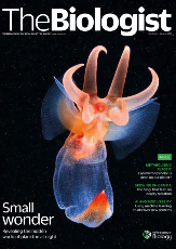 Magazine /images/biologist/archive/2023_05_05_Vol70_No2__Small_Wonder