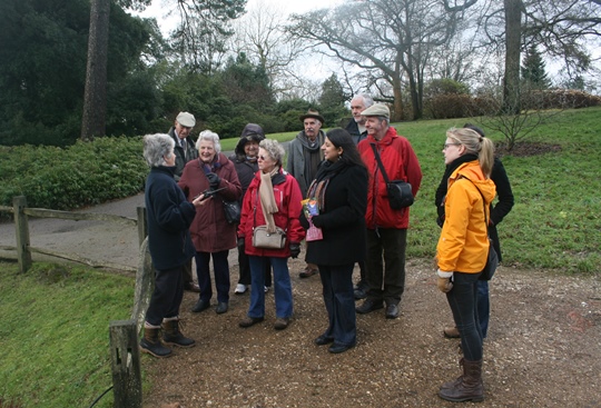 Dec In Wakehurst