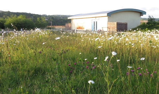 Meadow and The Look Out