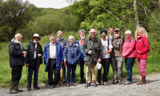 NW Coedydd group web