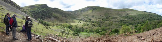 NW Coedydd pano web