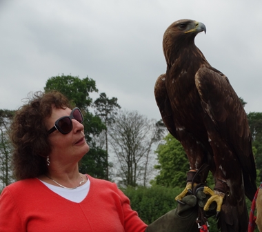 Yorkshire Birds of prey visit small