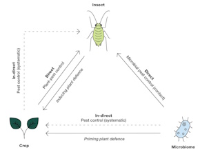 bugbiome