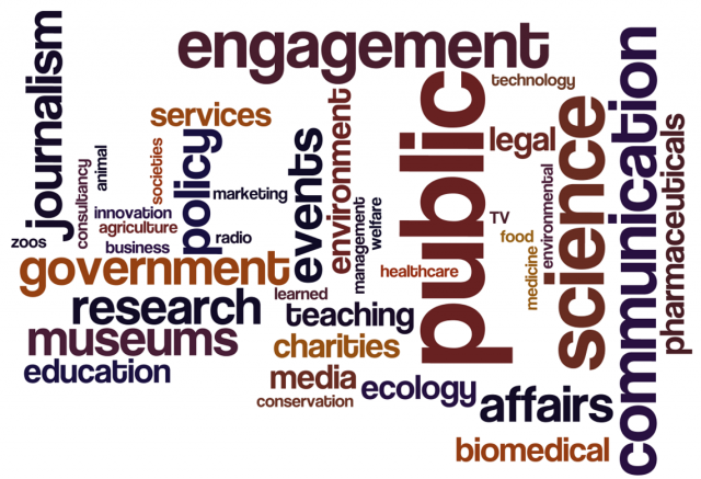 careers wordle