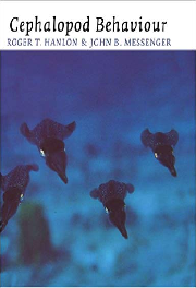 cephalopod behaviour