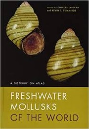freshwater mollusks