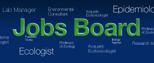 Jobs board icon